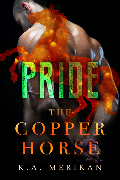 The Copper Horse book cover 2