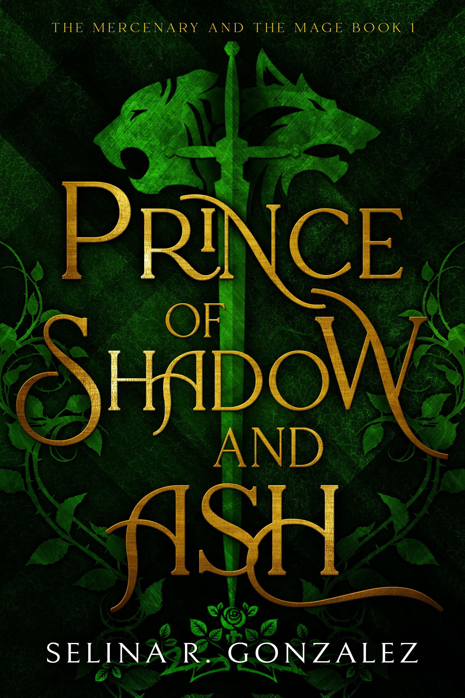 Prince of Shadow and Ash book cover