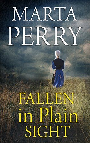 Fallen in Plain Sight book cover