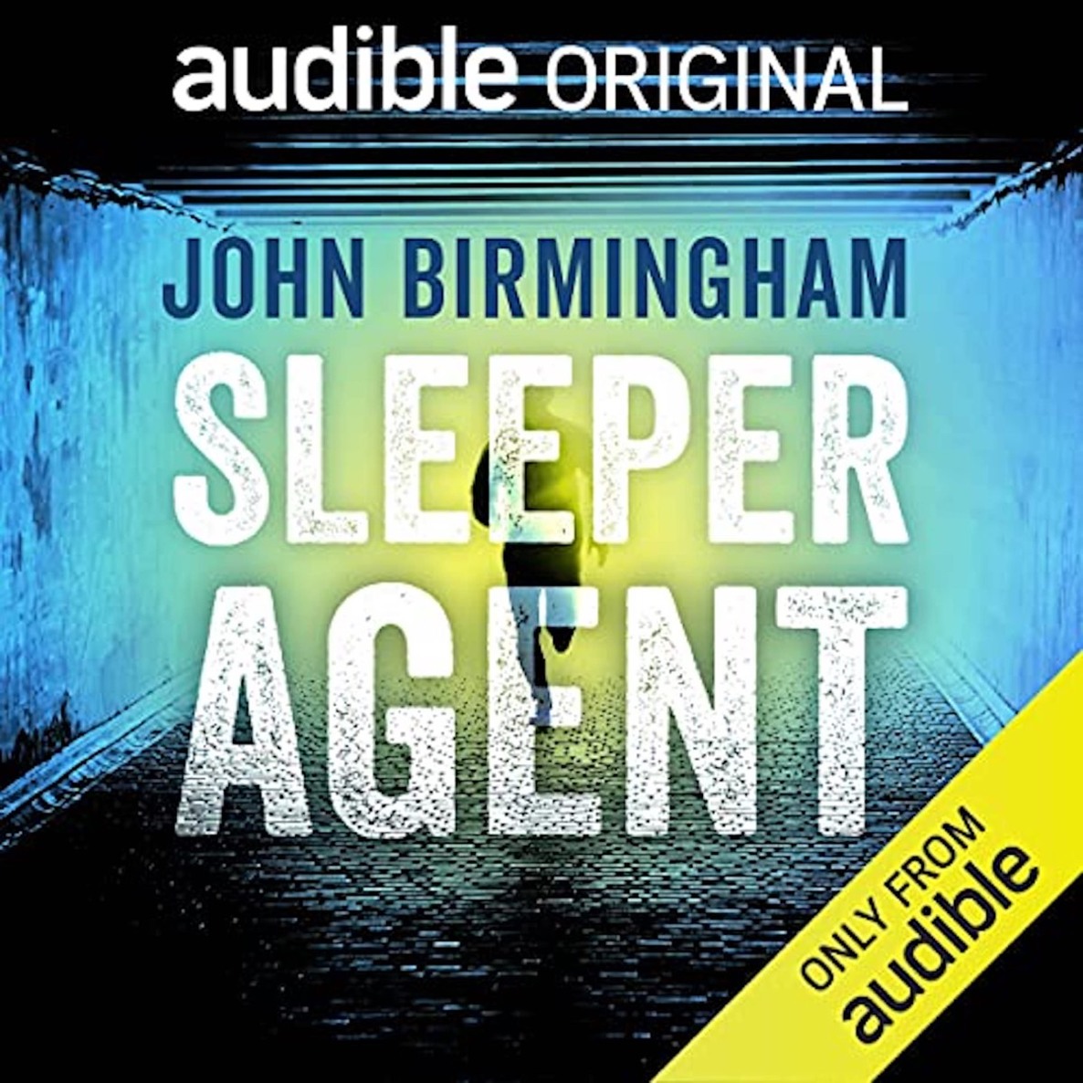 Sleeper agent book cover