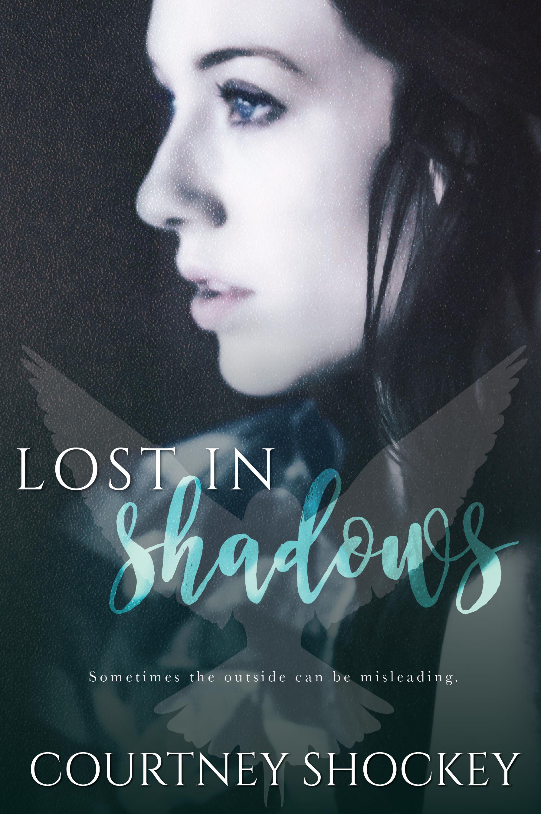 Lost in Shadows book cover