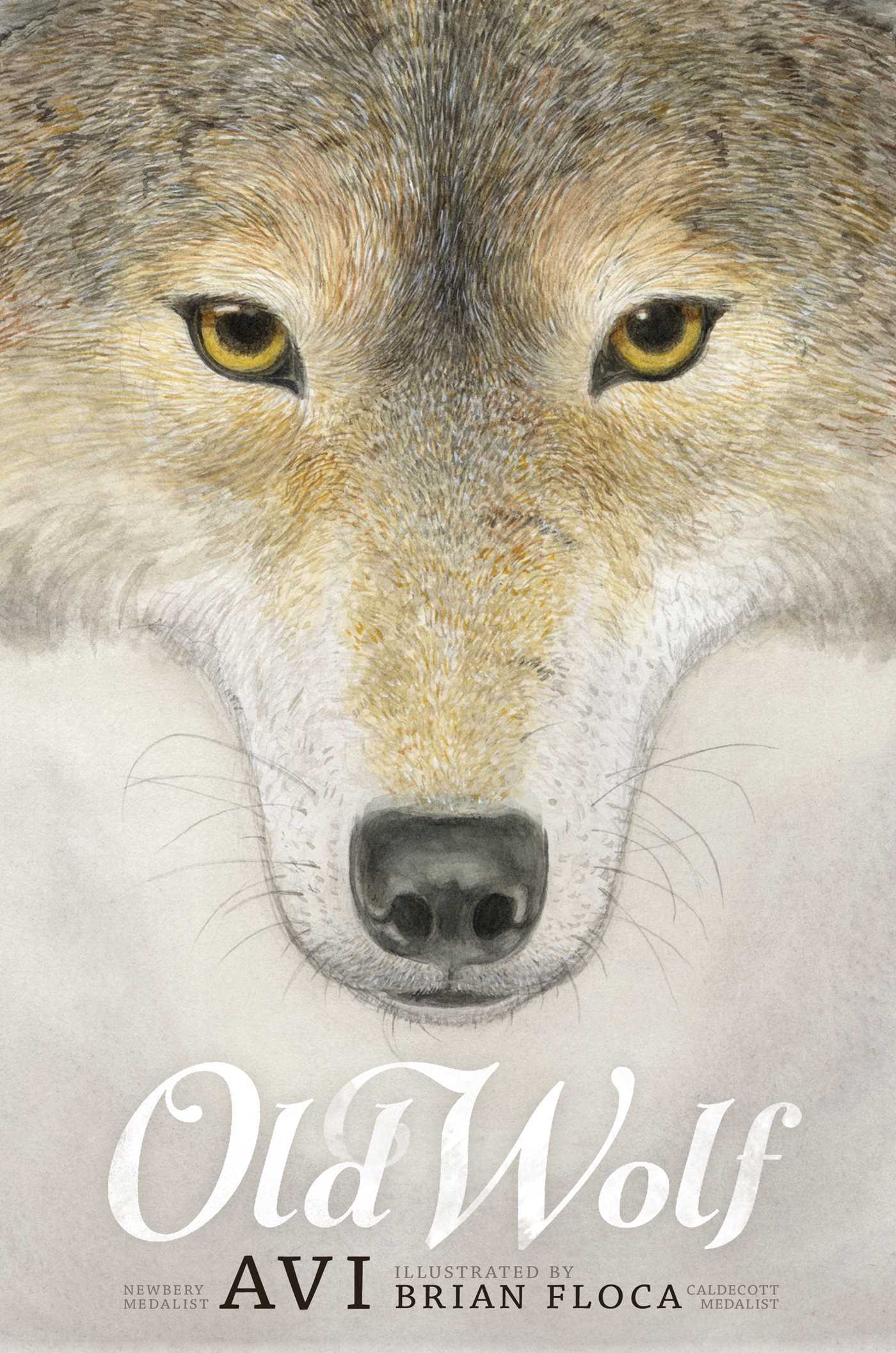 Old Wolf book cover