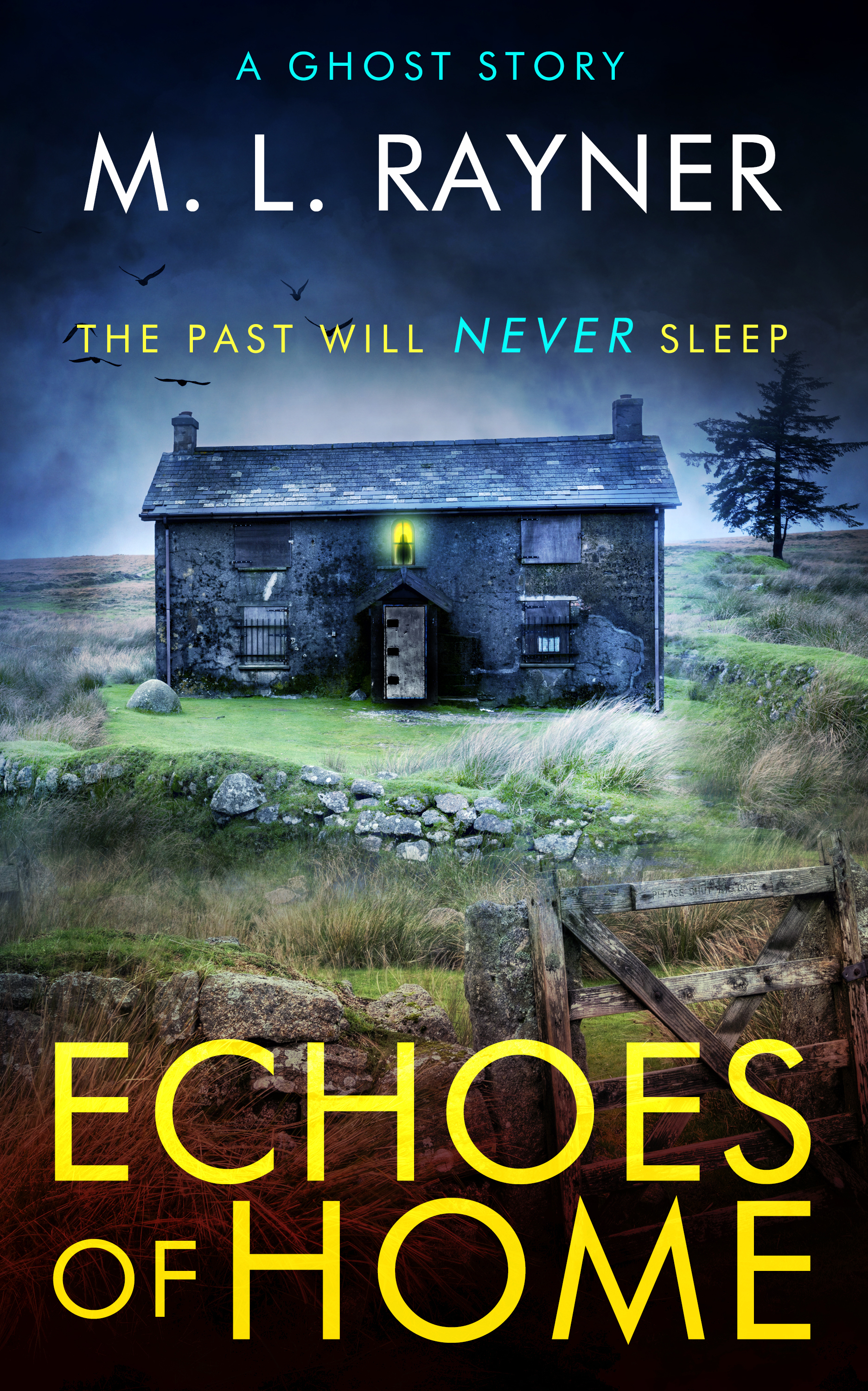 Echoes of Home book cover