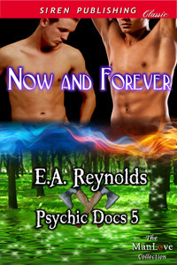 Now and Forever book cover