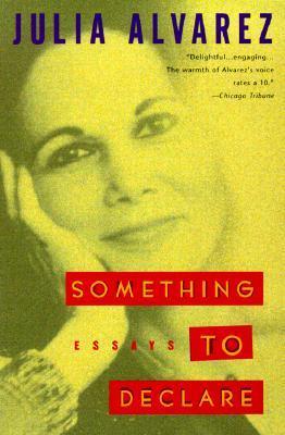 Something to Declare book cover