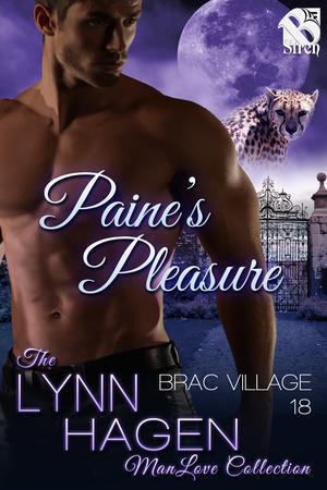Paine's Pleasure book cover