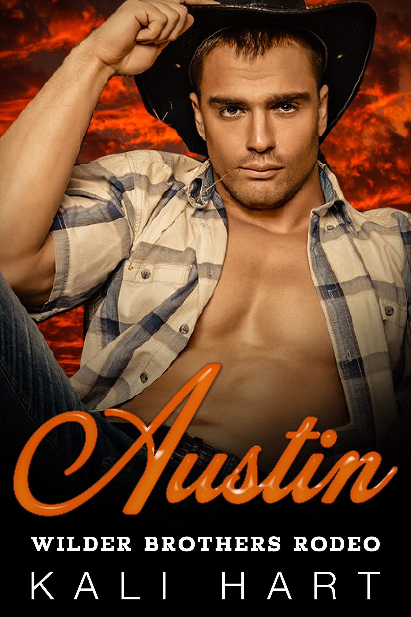 Wilder Brothers Rodeo book cover 3