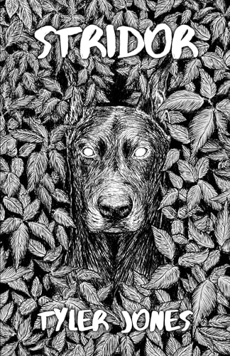 Stridor book cover