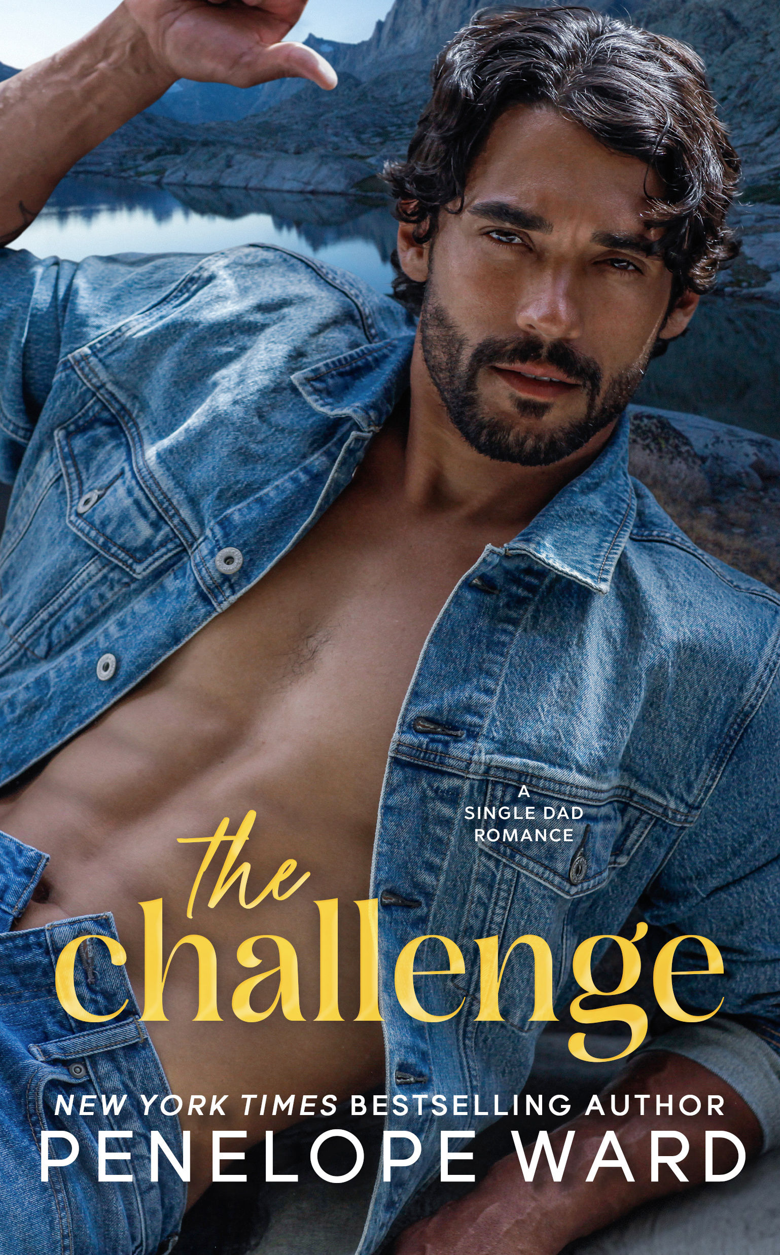 The Challenge book cover
