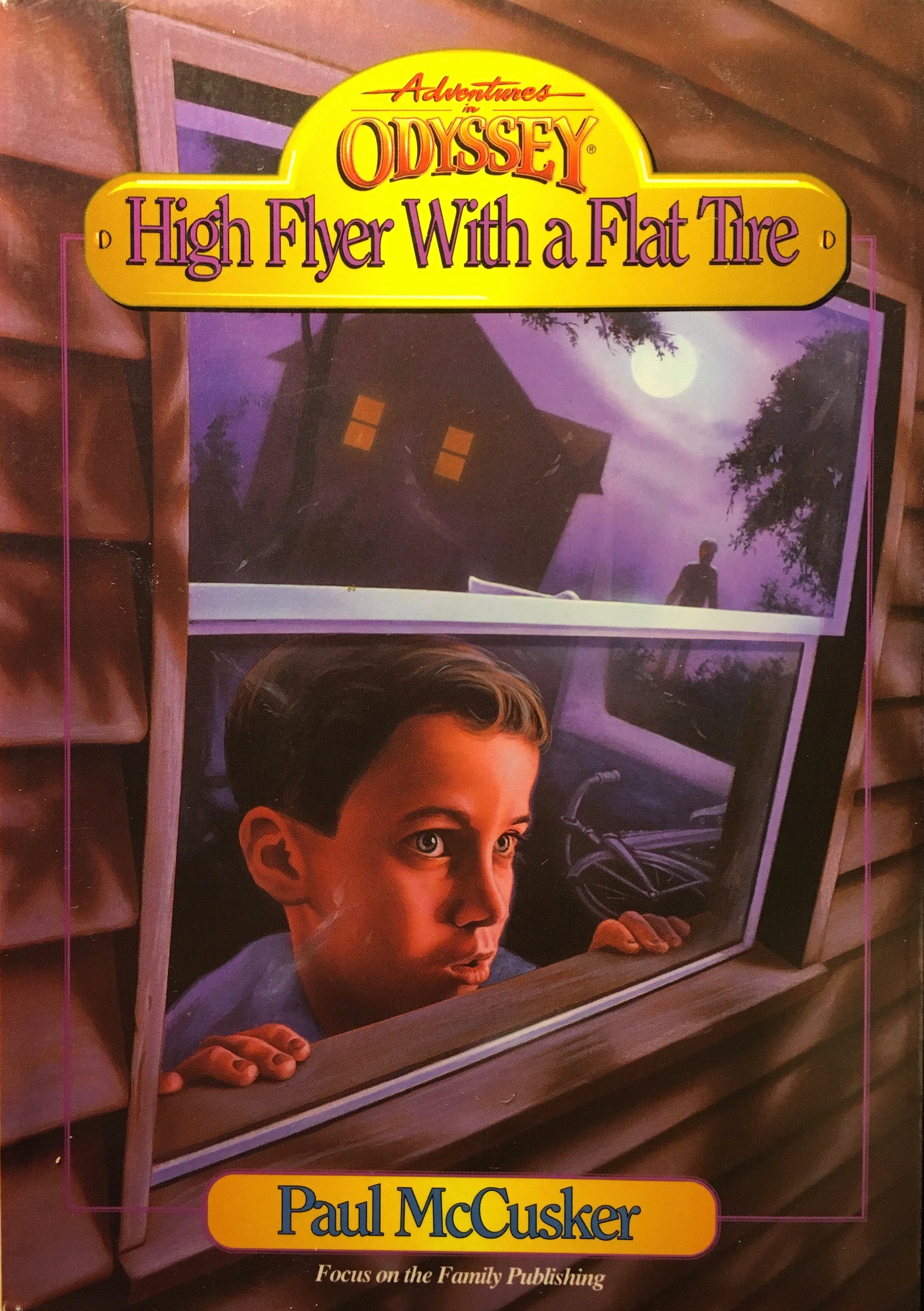 High Flyer With a Flat Tire book cover