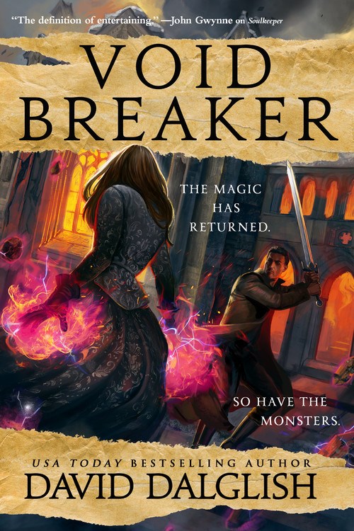 Voidbreaker book cover