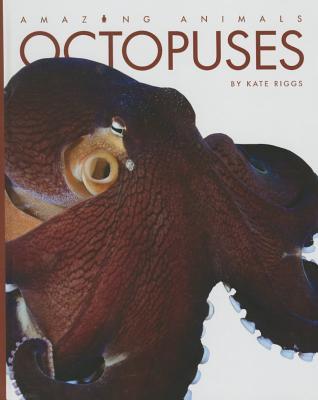 Octopuses book cover