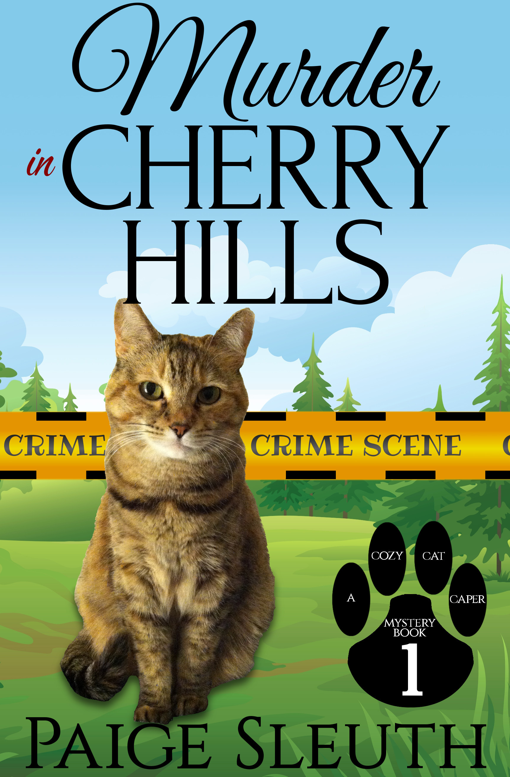 Murder in Cherry Hills book cover
