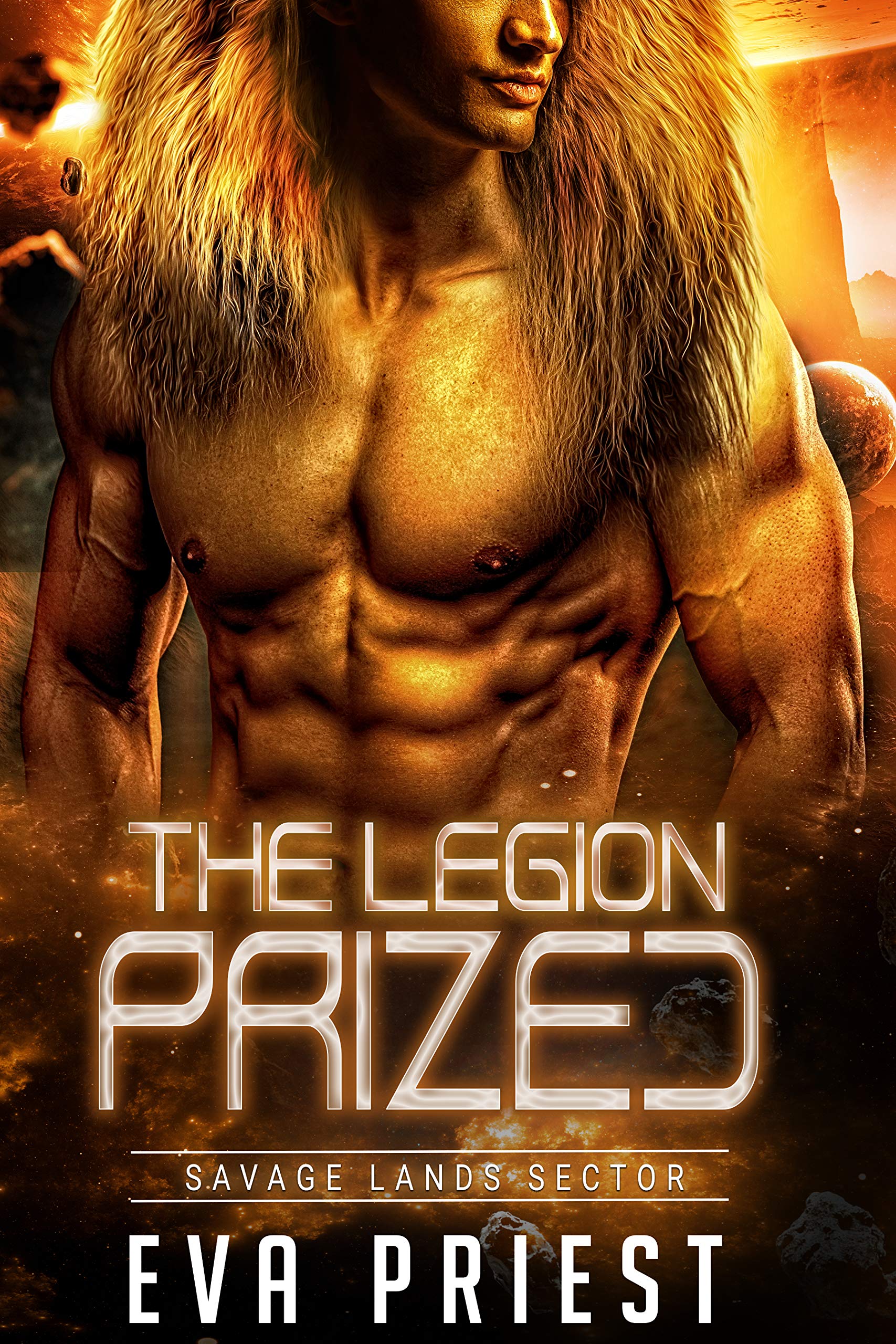 The Legion: Savage Lands Sector book cover 2