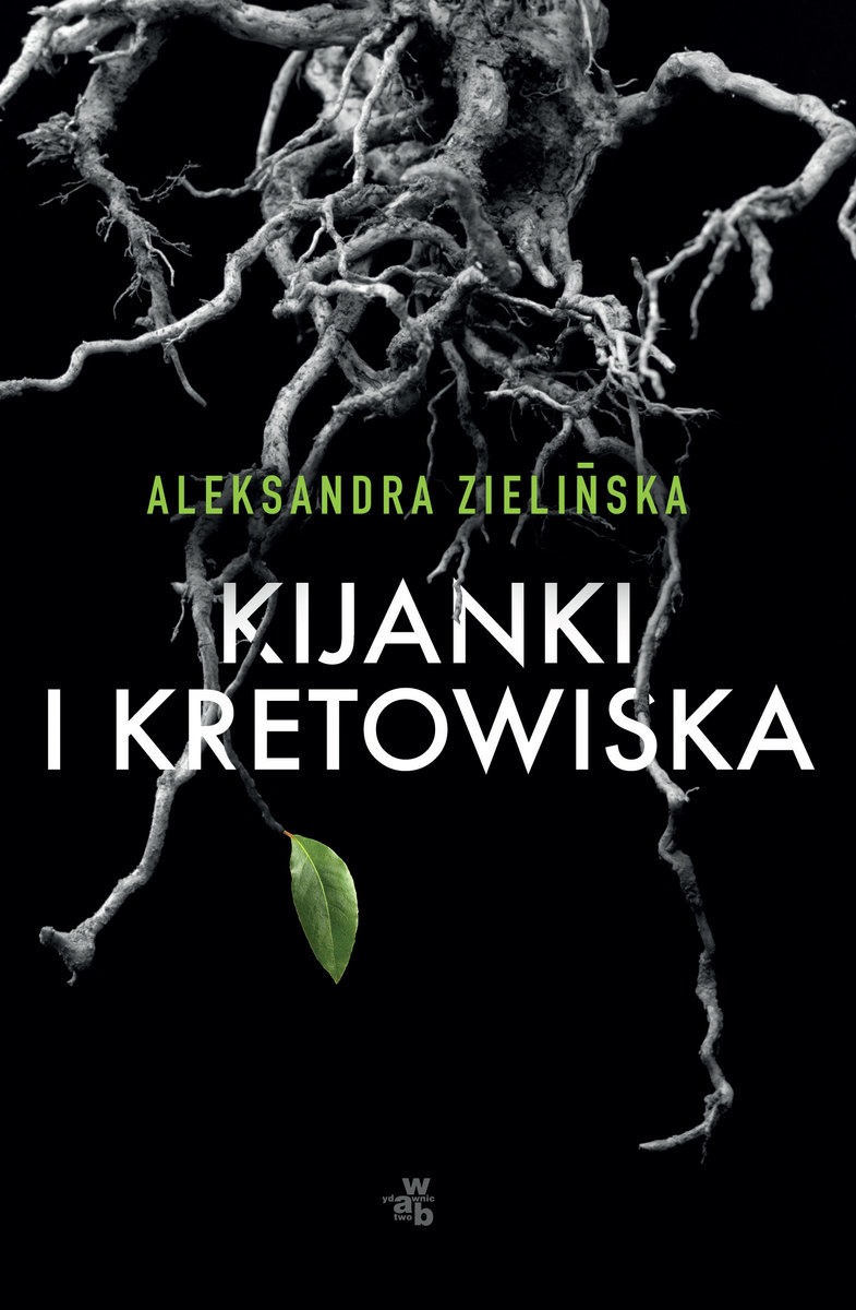 Kijanki i kretowiska book cover
