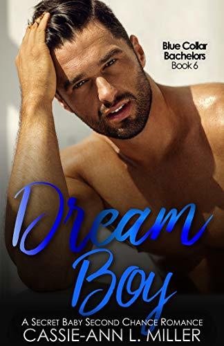 Dream Boy book cover