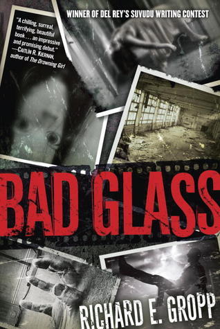 Bad Glass book cover