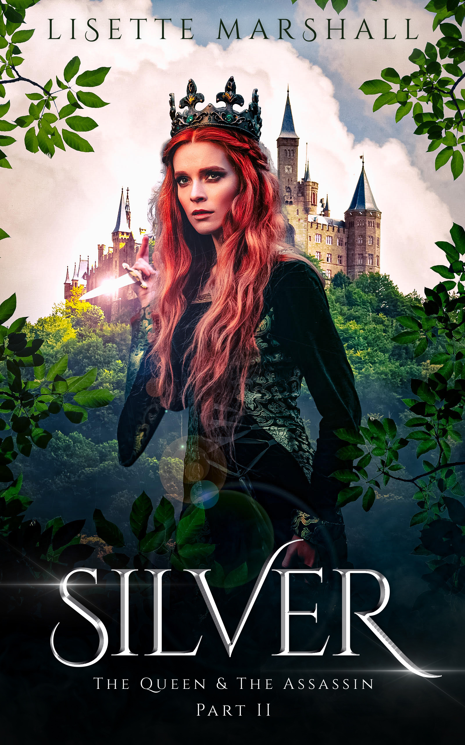 The Queen & the Assassin book cover 2