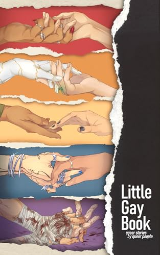 Little Gay Book book cover