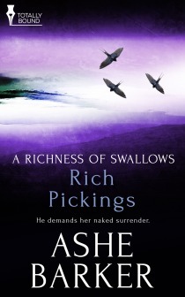 Rich Pickings book cover