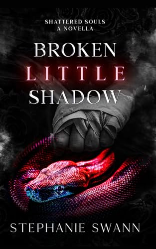 Broken Little Shadow book cover