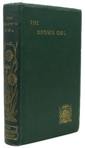 The Brown Owl book cover