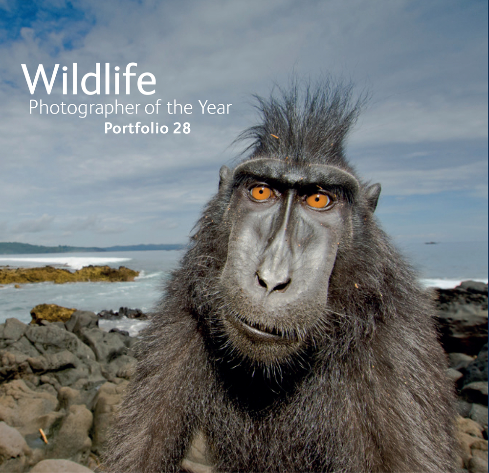 Wildlife Photographer of the Year book cover