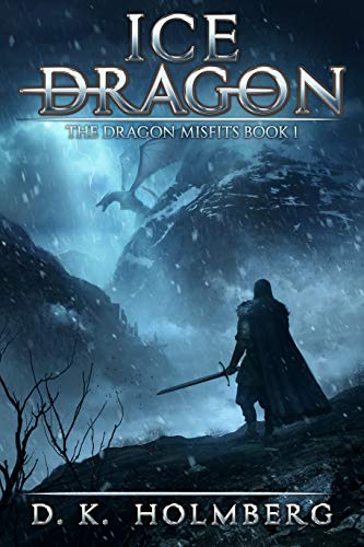 The Dragon Misfits book cover 1
