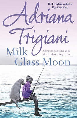 Big Stone Gap book cover 3
