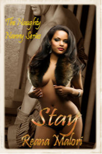 Stay book cover