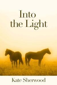 Into the Light book cover
