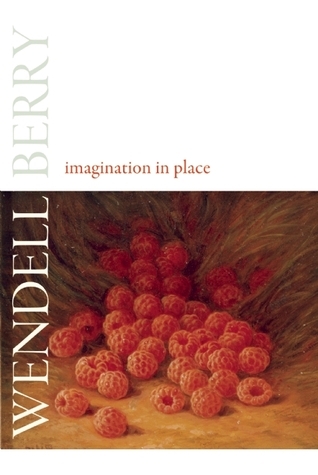 Imagination in Place book cover