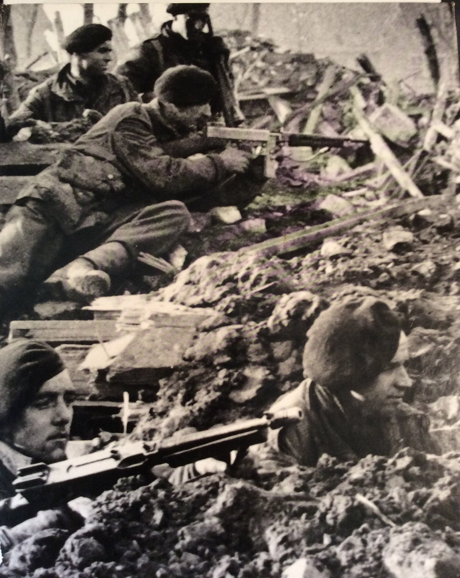 The commandos book cover