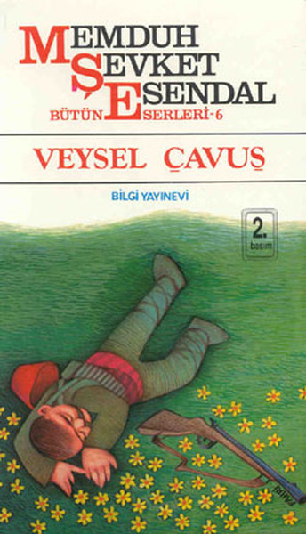 Veysel Çavuş book cover