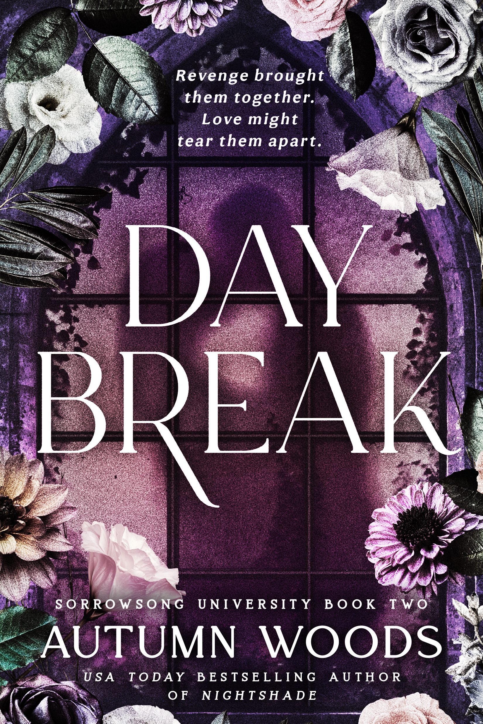 Zori de zi book cover