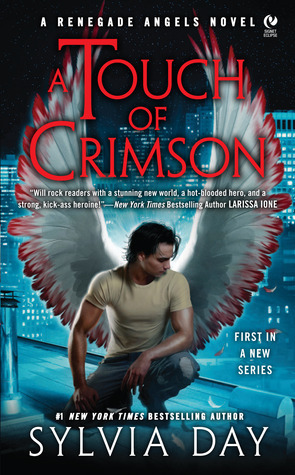 Renegade Angels book cover 1