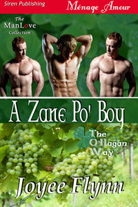 The O'Hagan Way book cover 3