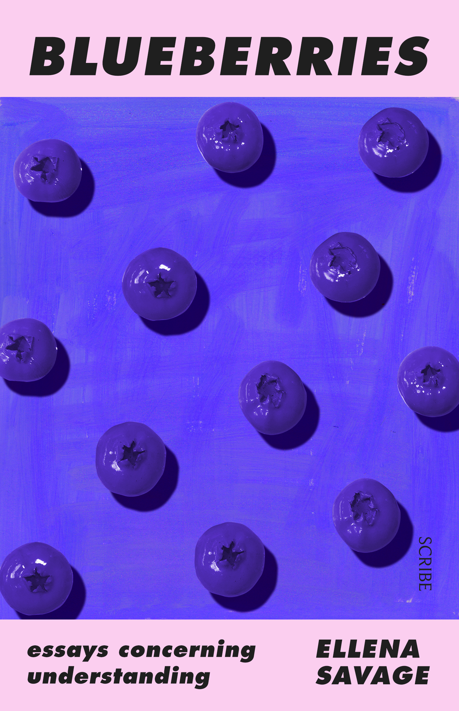 Blueberries book cover