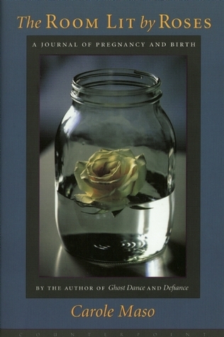 The Room Lit by Roses book cover