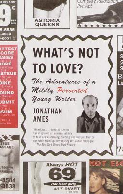 What's Not to Love? book cover