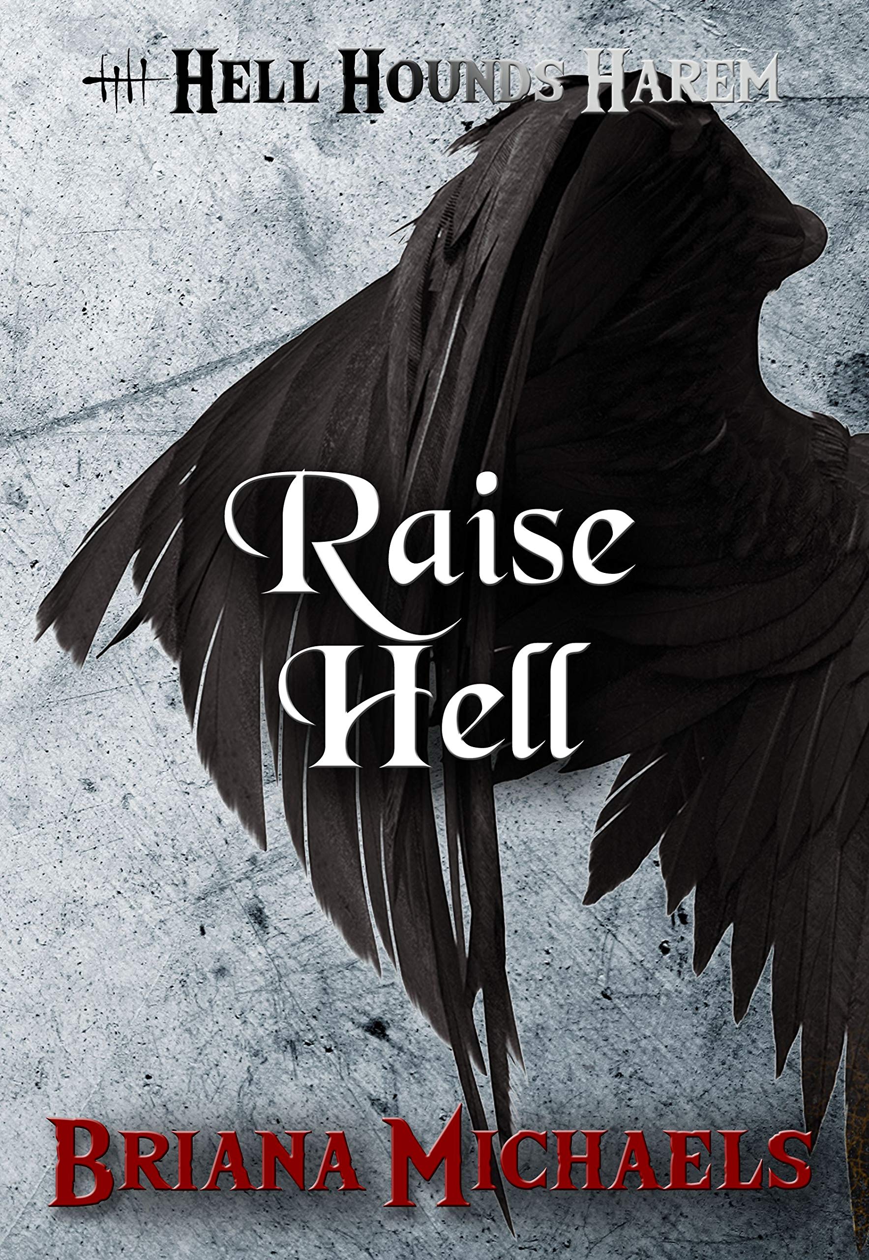Raise Hell book cover