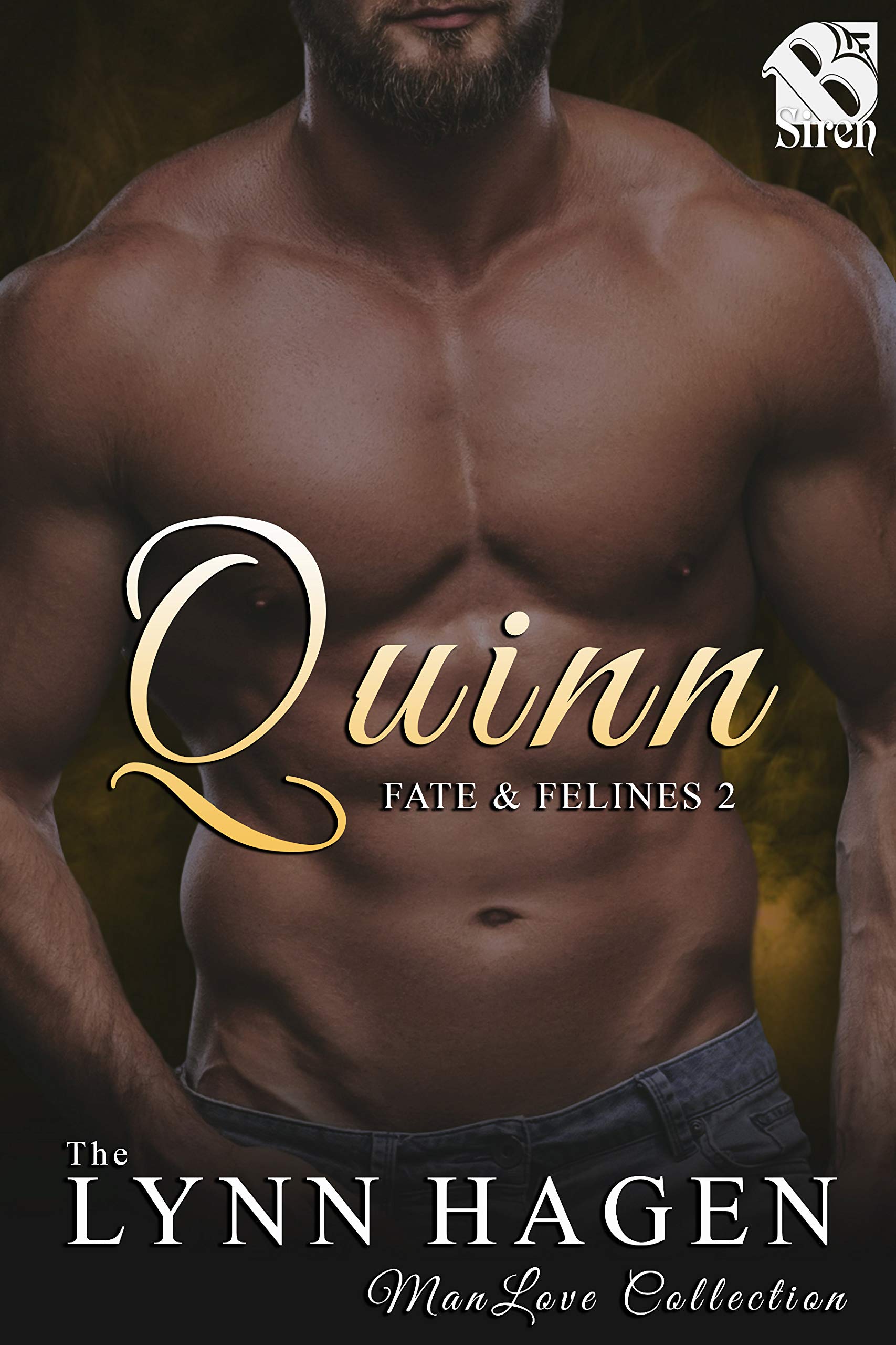 Fate & Felines book cover 2