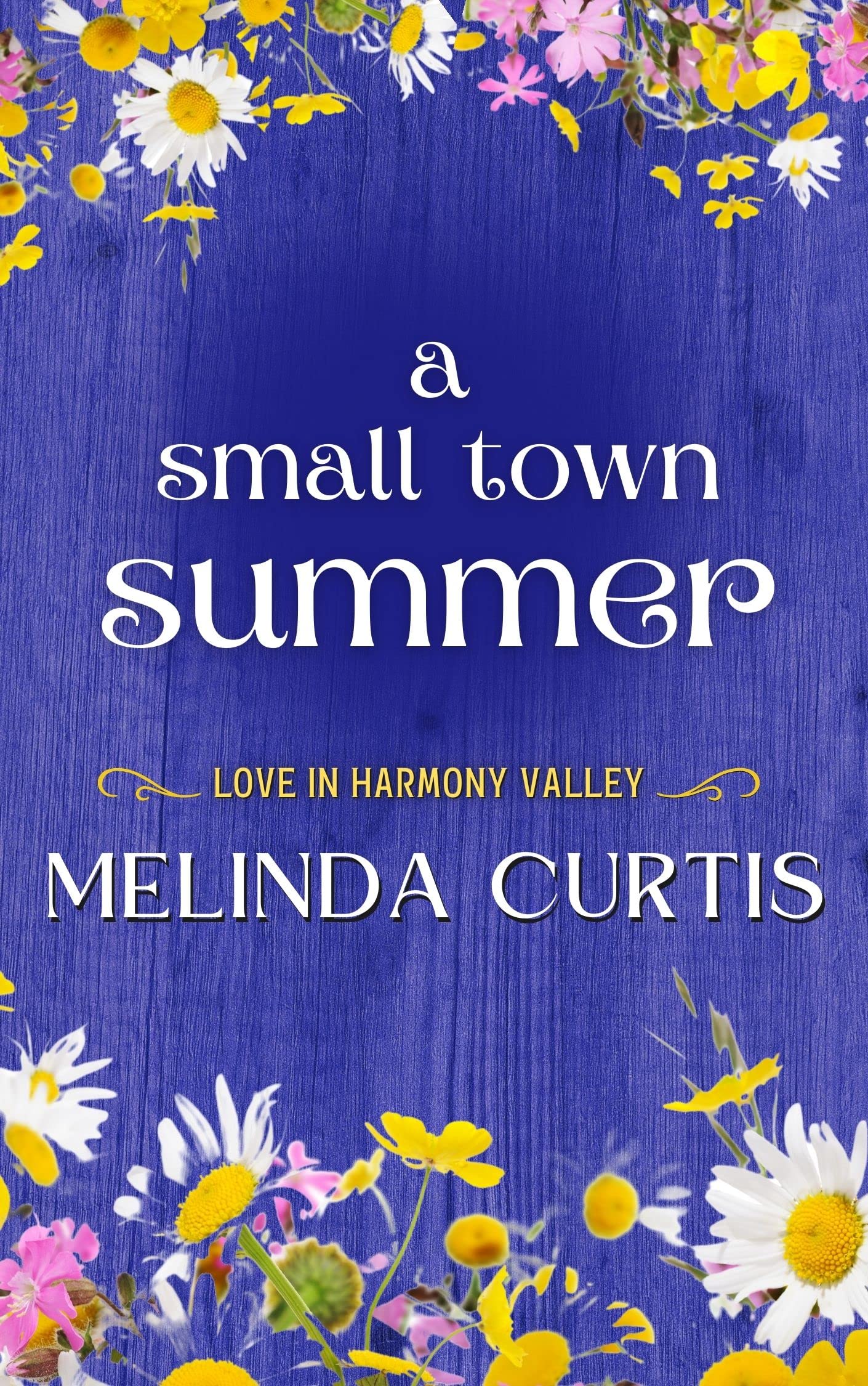 A Small Town Summer book cover