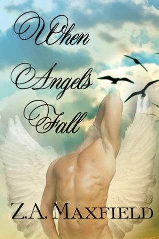 When Angels Fall book cover
