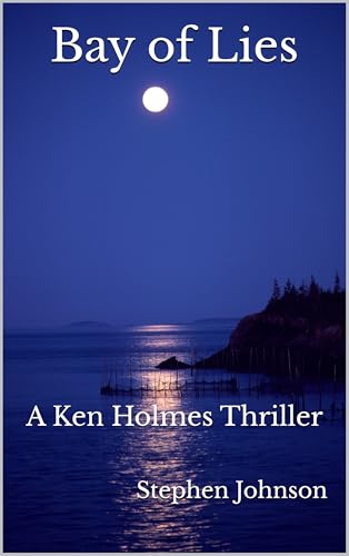 Bay of Lies book cover