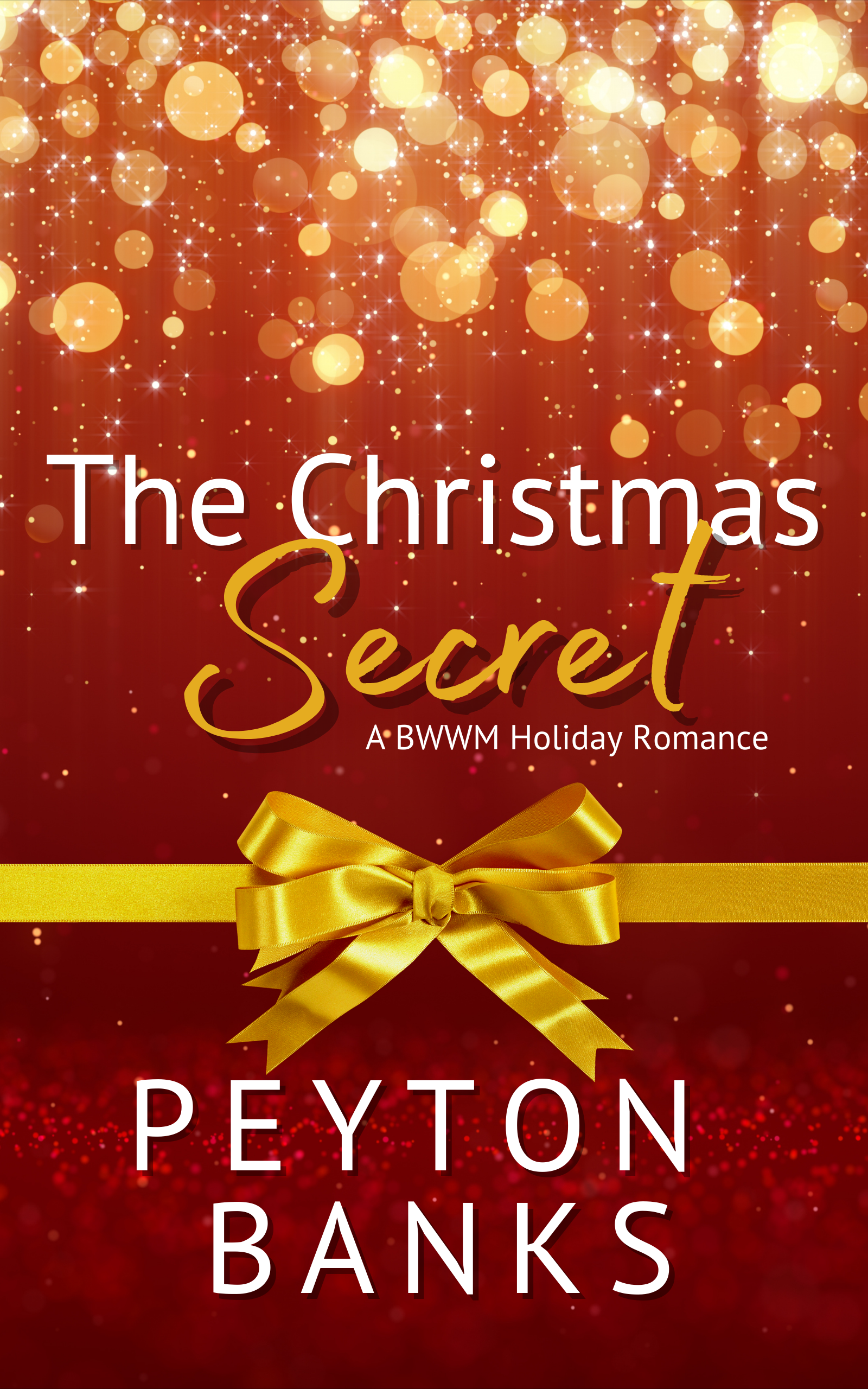 The Christmas Secret book cover