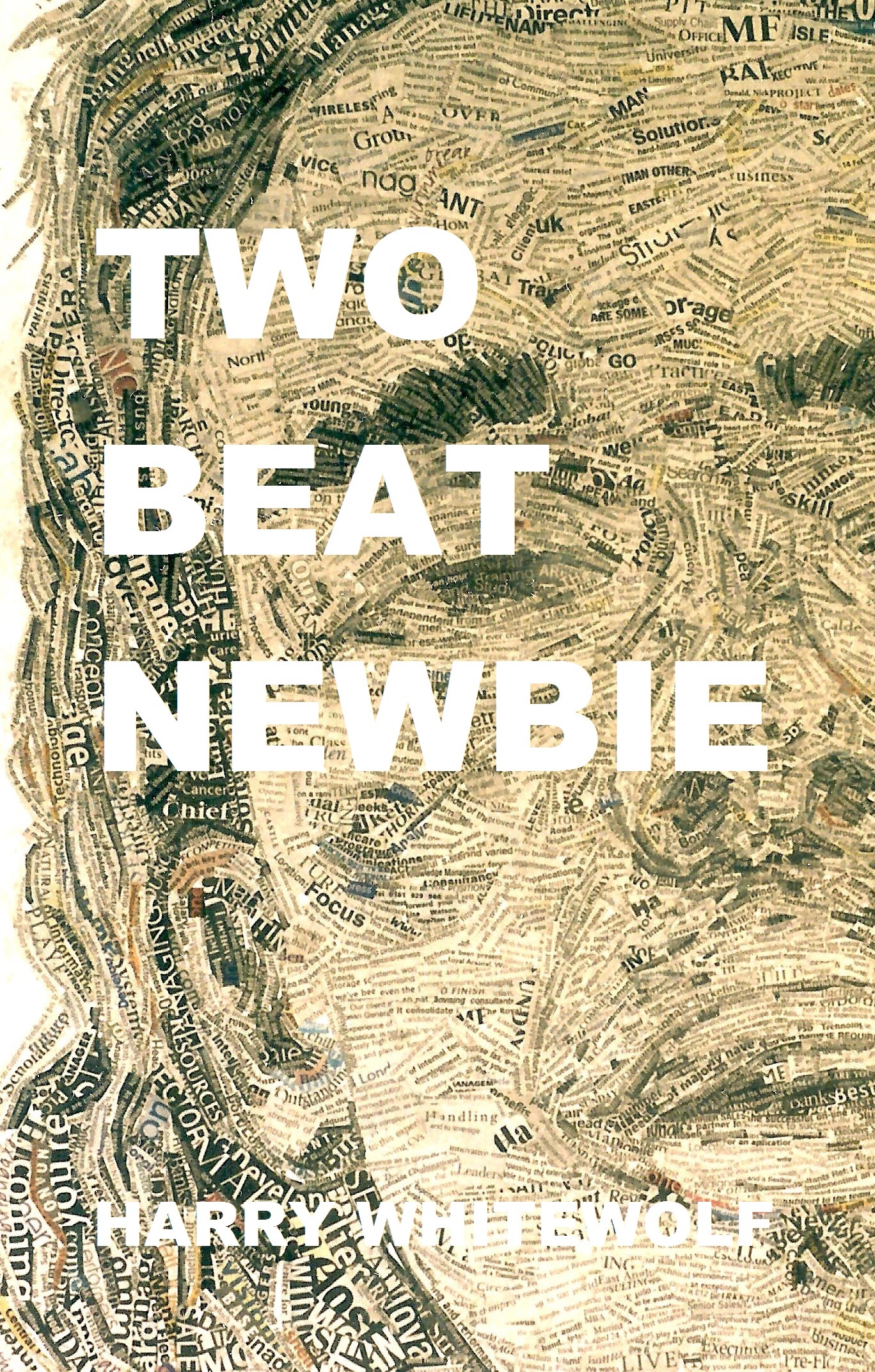 Two Beat Newbie book cover