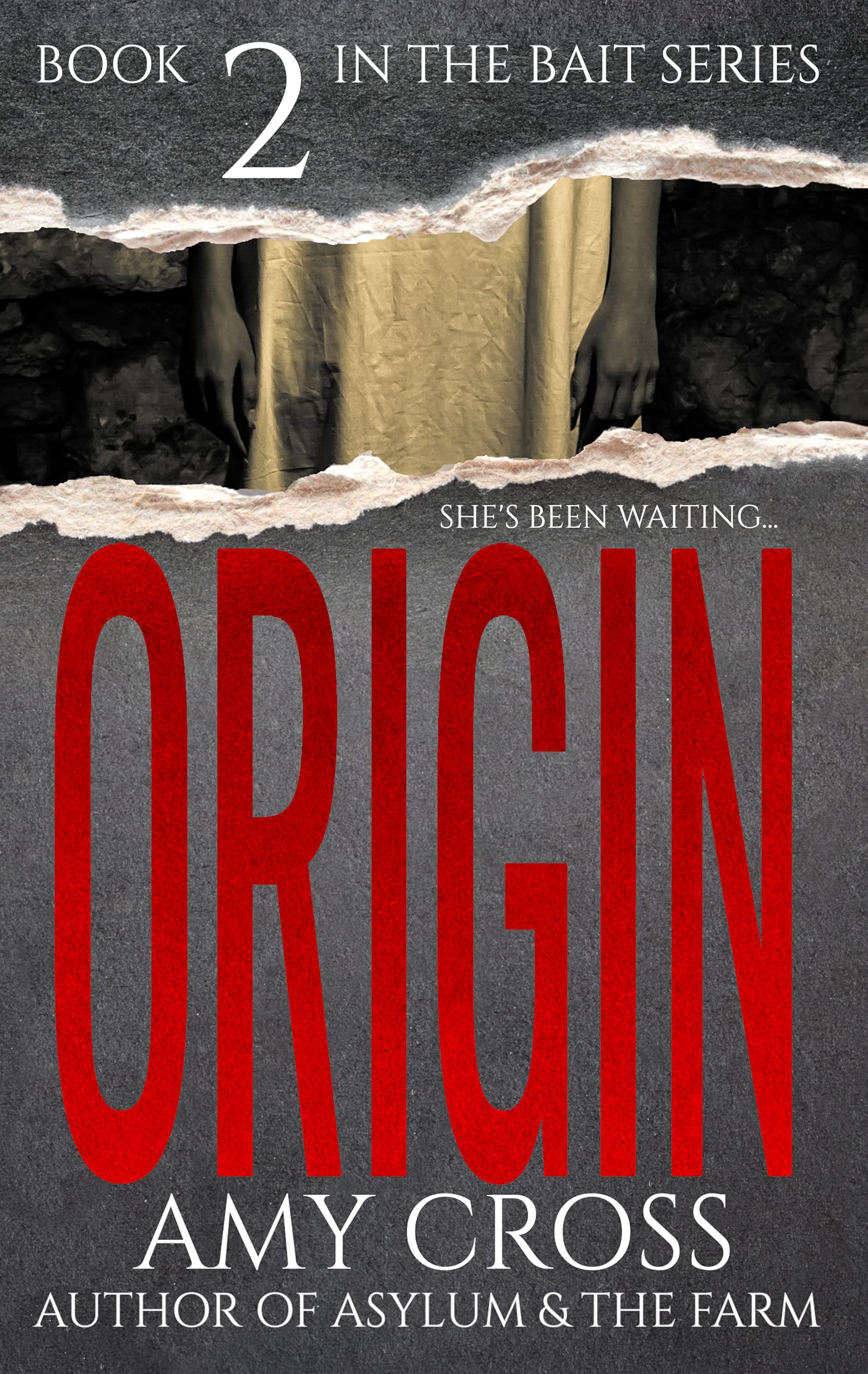 Origin book cover