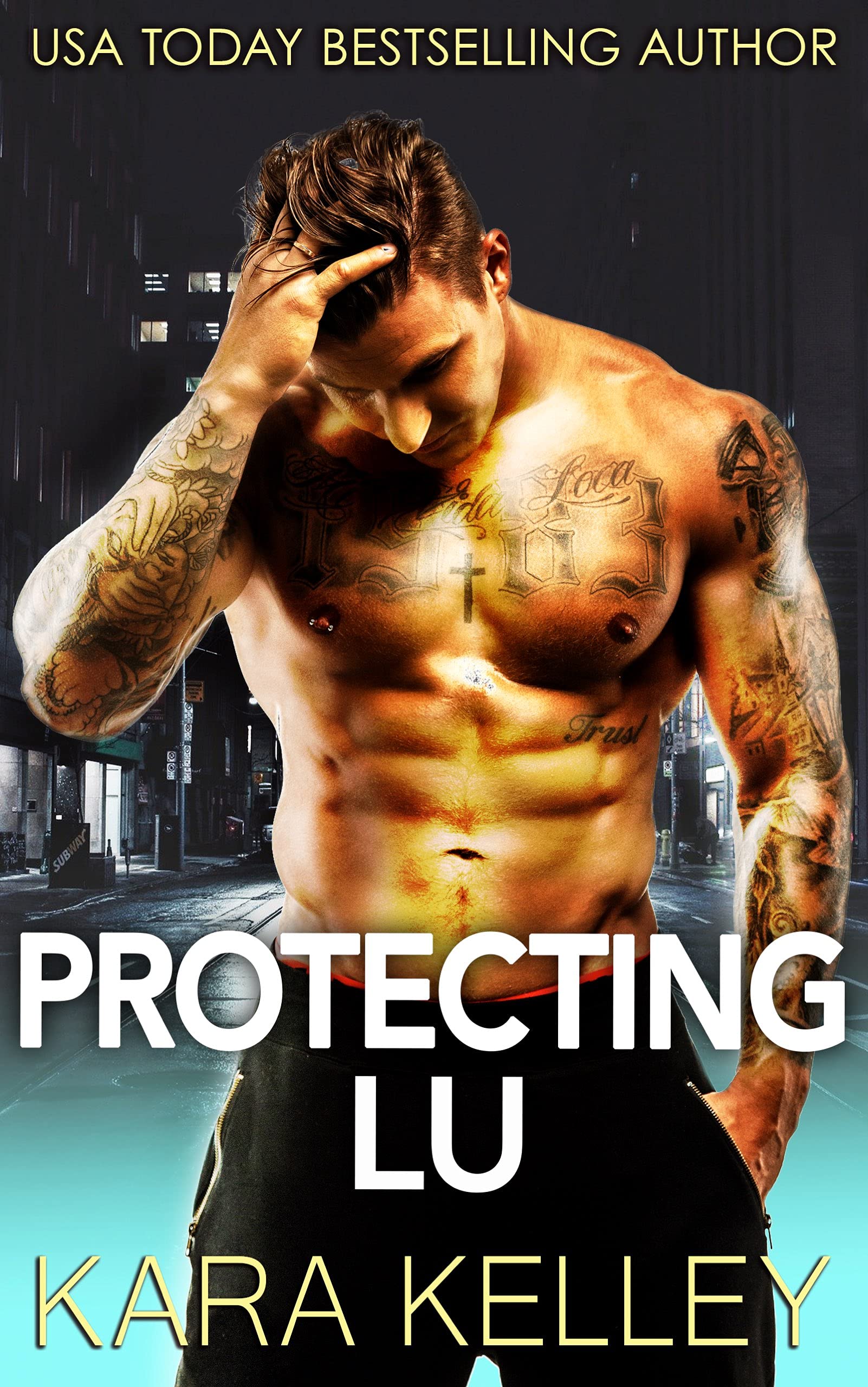 Protecting Lu book cover