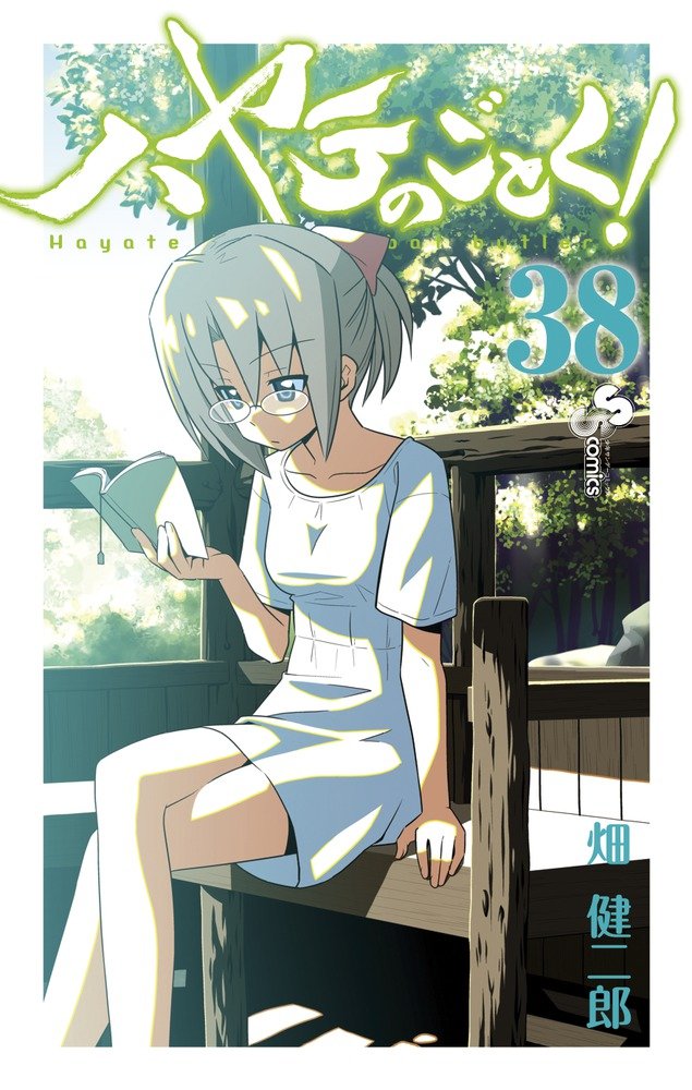 ハヤテのごとく! 38 [Hayate no Gotoku! 38] book cover